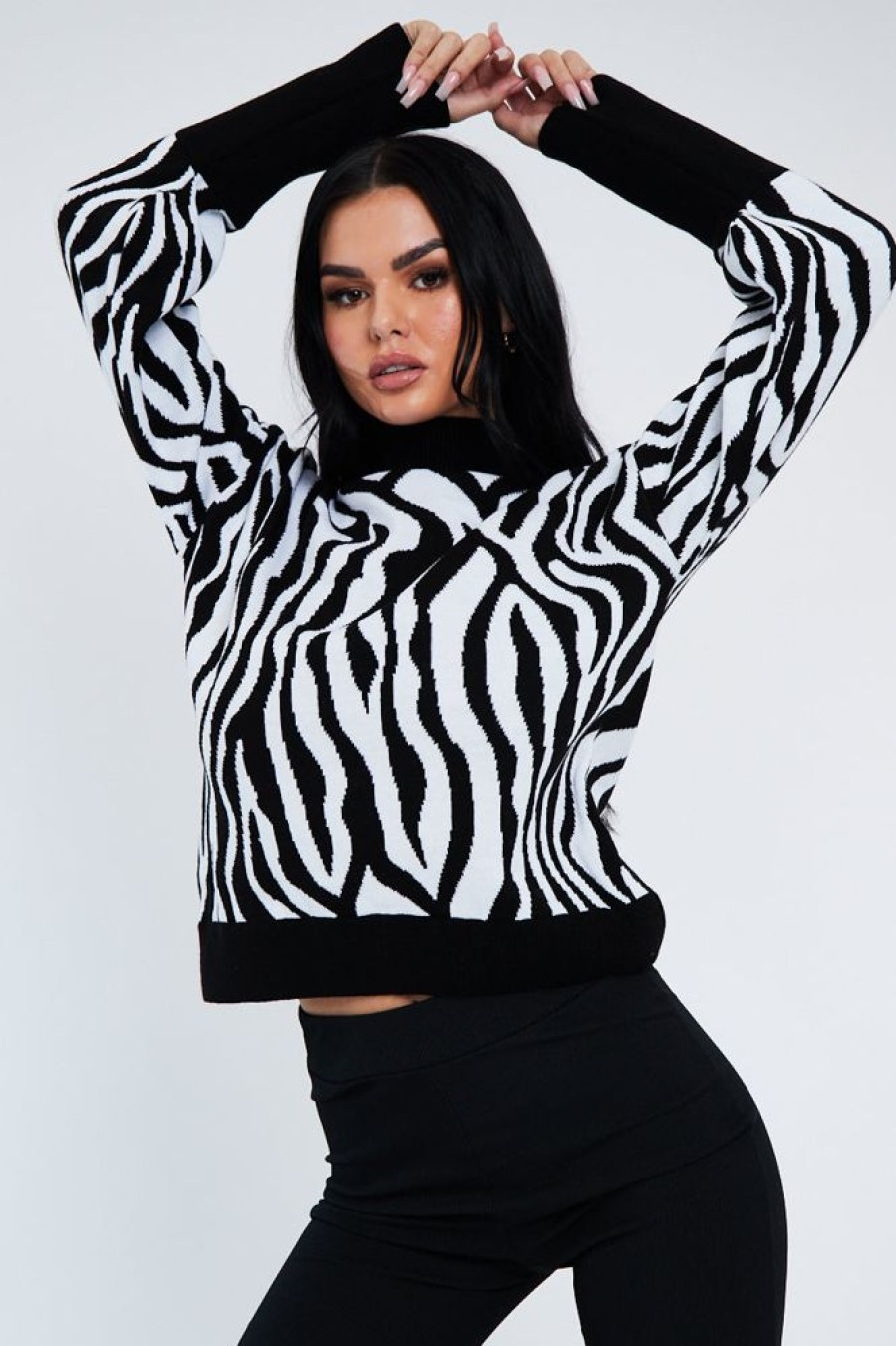 Clothing Rebellious Fashion | Black White Zebra Print Jumper - Tylin